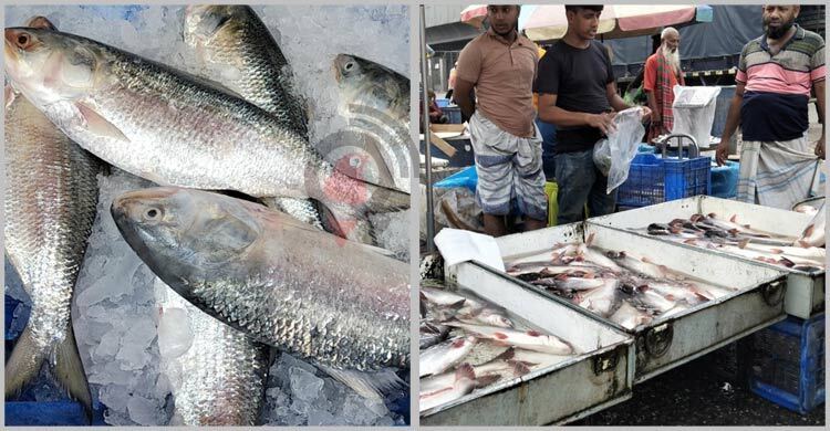 Hilsa on fire, Pangasius incur losses: Jatrabari fish market feels post-Eid chill